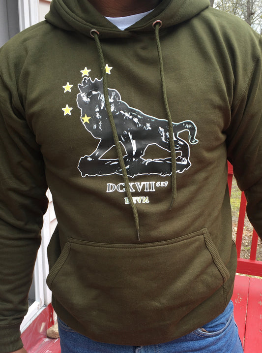 Lion hearted pull over